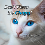 cat quotes dont worry be chapy