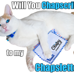 will you chapscribe to my chapsletter