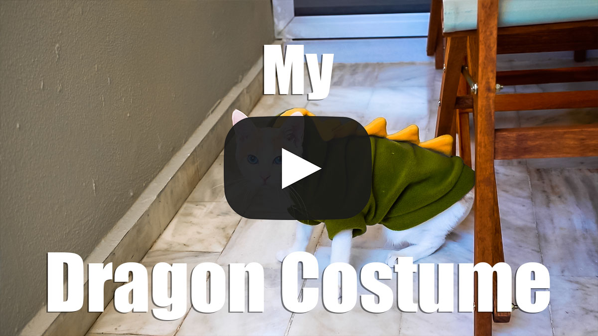 My Dragon Costume