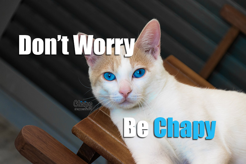 dont worry be chapy