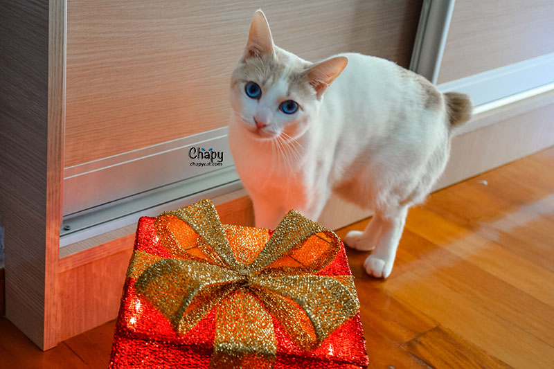 Is this present for me?