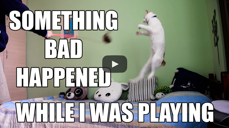 Something Bad Happened While I Was Playing