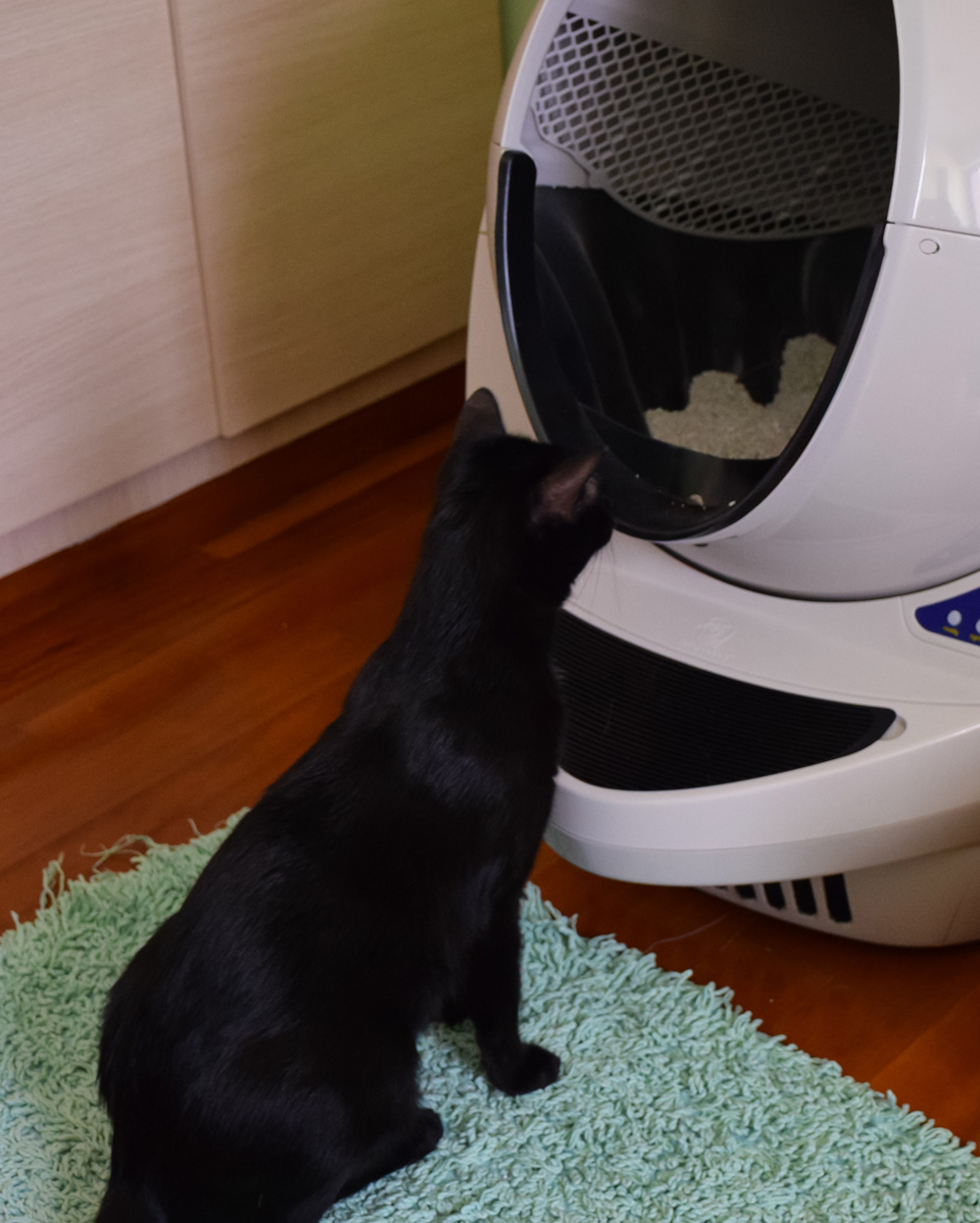 spinning litter robot