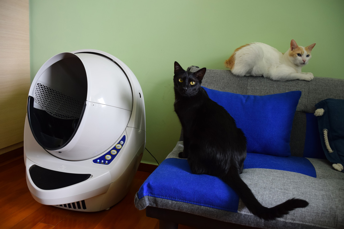 smelling litter robot