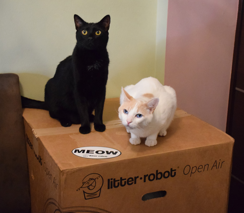 litter robot unboxing